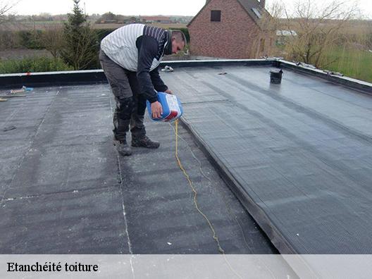 Etanchéité toiture la-bollene-vesubie-06450 Artisan Clement