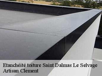 Etanchéité toiture saint-dalmas-le-selvage-06660 Dumas etancheite