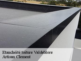 Etanchéité toiture valdeblore-06420 Artisan Clement