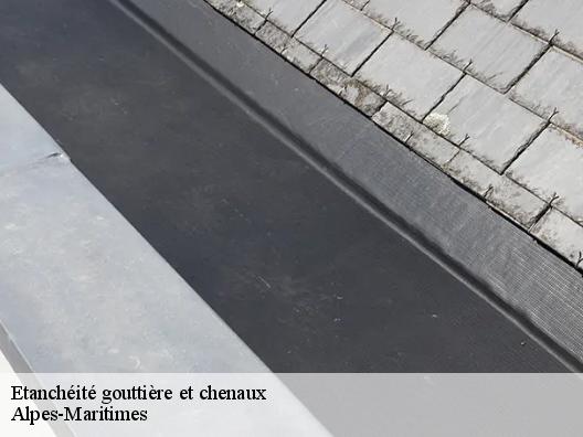 Etanchéité gouttière et chenaux 06 Alpes-Maritimes Artisan Clement