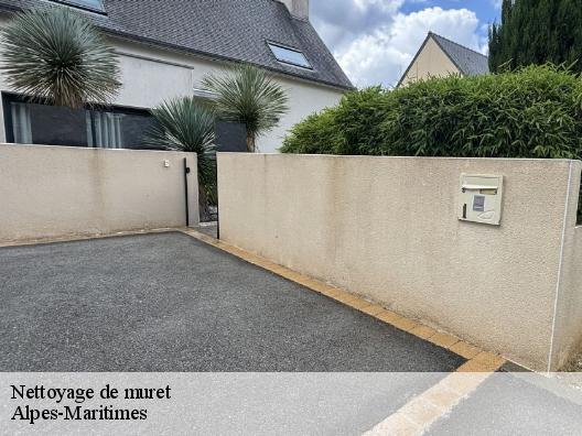 Nettoyage de muret Alpes-Maritimes