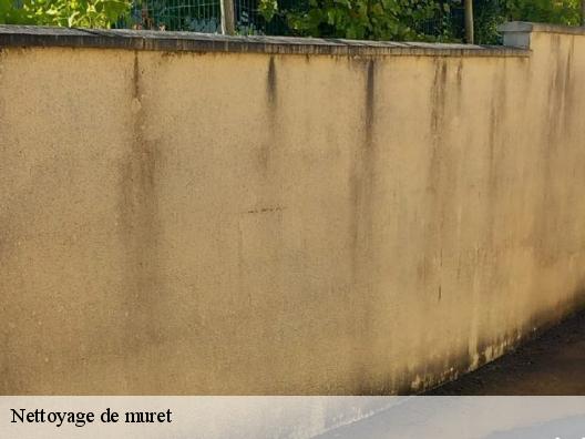 Nettoyage de muret 06 Alpes-Maritimes  Artisan Clement