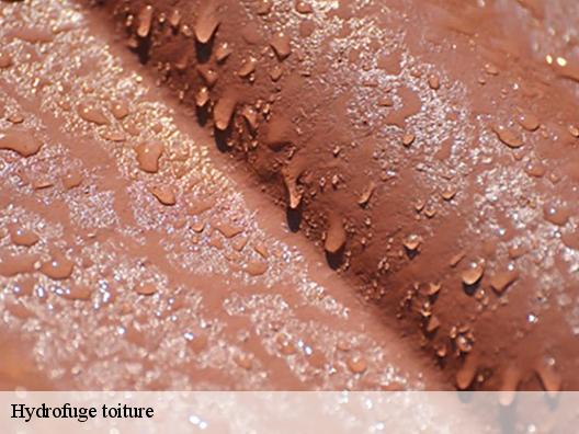 Hydrofuge toiture bairols-06420 Artisan Clement