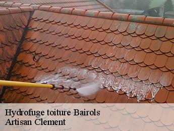 Hydrofuge toiture bairols-06420 Artisan Clement