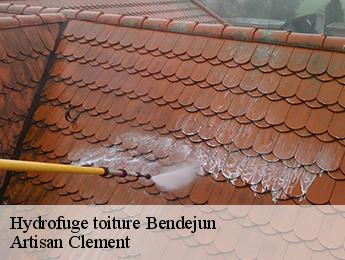 Hydrofuge toiture bendejun-06390 Artisan Clement