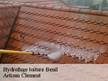 Hydrofuge toiture beuil-06470 Artisan Clement