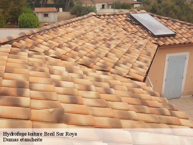 Hydrofuge toiture  breil-sur-roya-06540 Dumas etancheite