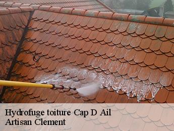 Hydrofuge toiture cap-d-ail-06320 Artisan Clement