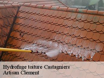 Hydrofuge toiture castagniers-06670 Artisan Clement