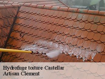 Hydrofuge toiture castellar-06500 Artisan Clement