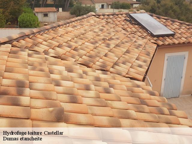 Hydrofuge toiture  castellar-06500 Dumas etancheite