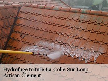 Hydrofuge toiture la-colle-sur-loup-06480 Artisan Clement