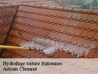 Hydrofuge toiture entraunes-06470 Artisan Clement