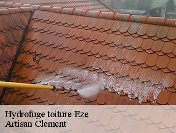 Hydrofuge toiture eze-06360 Artisan Clement
