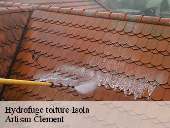 Hydrofuge toiture isola-06420 Artisan Clement