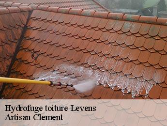Hydrofuge toiture levens-06670 Artisan Clement