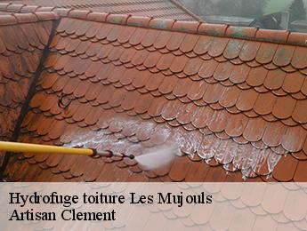 Hydrofuge toiture les-mujouls-06910 Artisan Clement