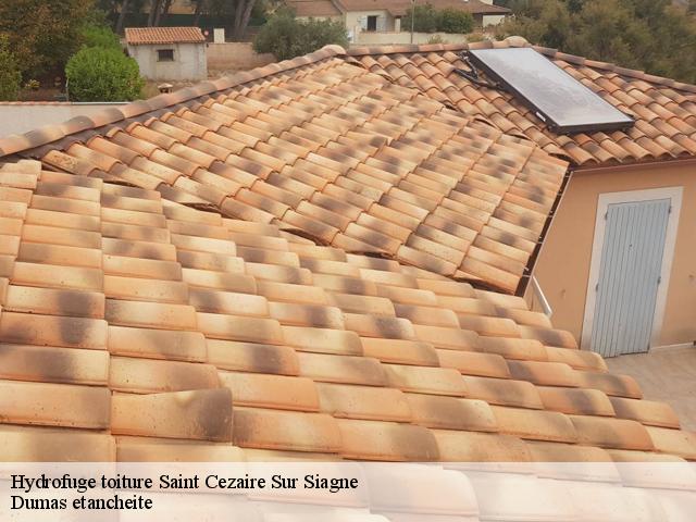 Hydrofuge toiture  saint-cezaire-sur-siagne-06780 Dumas etancheite