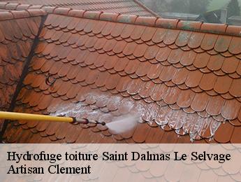 Hydrofuge toiture saint-dalmas-le-selvage-06660 Artisan Clement