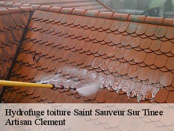 Hydrofuge toiture saint-sauveur-sur-tinee-06420 Artisan Clement