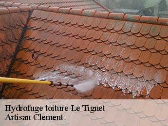 Hydrofuge toiture le-tignet-06530 Artisan Clement
