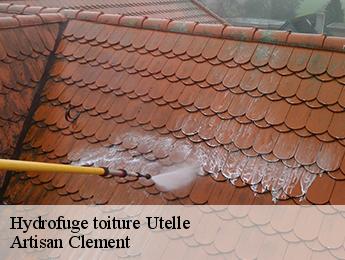 Hydrofuge toiture utelle-06450 Artisan Clement