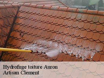 Hydrofuge toiture auron-06660 Artisan Clement
