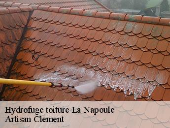 Hydrofuge toiture la-napoule-06210 Artisan Clement