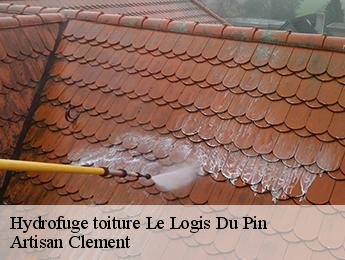 Hydrofuge toiture le-logis-du-pin-06750 Artisan Clement