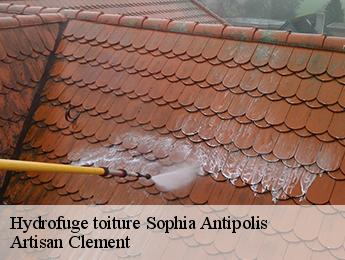 Hydrofuge toiture sophia-antipolis-06560 Artisan Clement