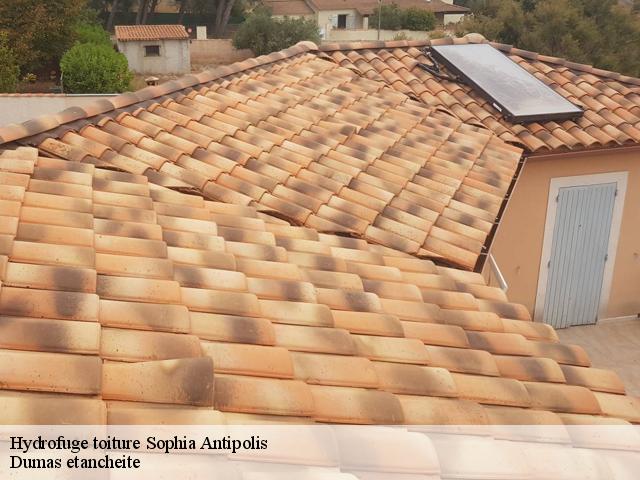Hydrofuge toiture  sophia-antipolis-06560 Dumas etancheite