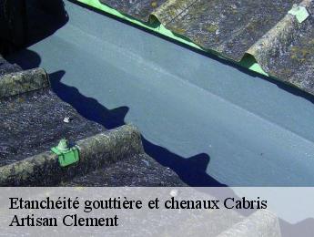 Etanchéité gouttière et chenaux  cabris-06530 Dumas etancheite