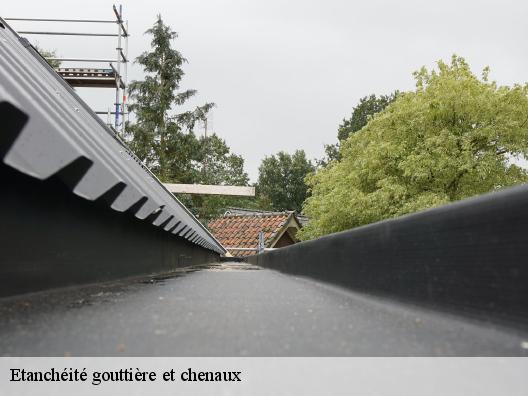 Etanchéité gouttière et chenaux cagnes-sur-mer-06800 Artisan Clement