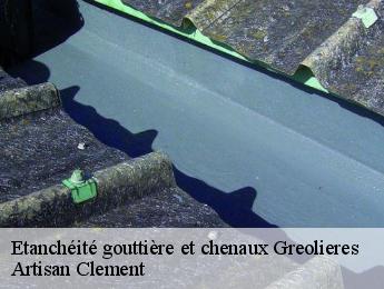 Etanchéité gouttière et chenaux  greolieres-06620 Dumas etancheite