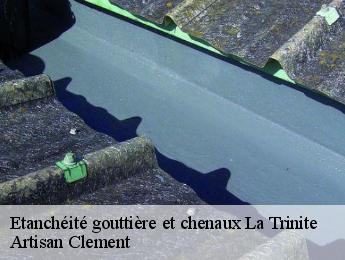 Etanchéité gouttière et chenaux la-trinite-06340 Artisan Clement