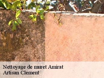 Nettoyage de muret  amirat-06910 Dumas etancheite