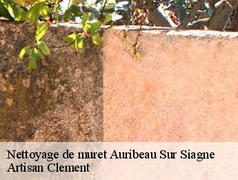 Nettoyage de muret auribeau-sur-siagne-06810 Artisan Clement
