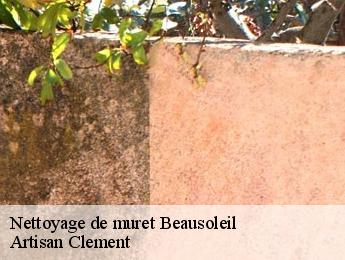 Nettoyage de muret  beausoleil-06240 Dumas etancheite