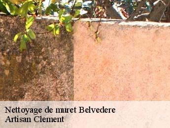 Nettoyage de muret  belvedere-06450 Dumas etancheite