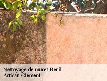Nettoyage de muret beuil-06470 Artisan Clement