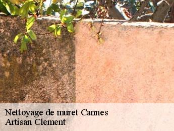 Nettoyage de muret cannes-06400 Artisan Clement