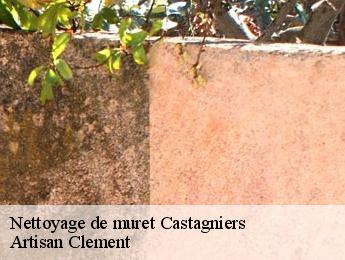 Nettoyage de muret  castagniers-06670 Dumas etancheite