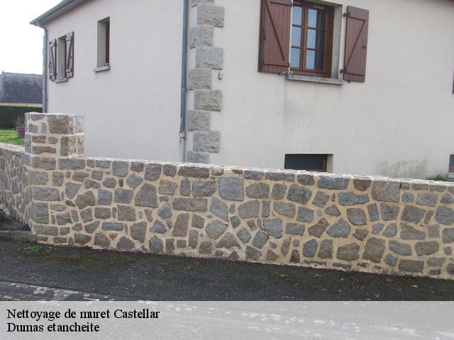 Nettoyage de muret  castellar-06500 Dumas etancheite