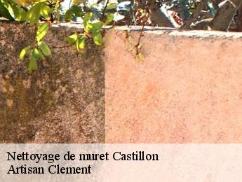 Nettoyage de muret castillon-06500 Artisan Clement