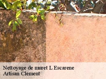 Nettoyage de muret l-escarene-06440 Artisan Clement