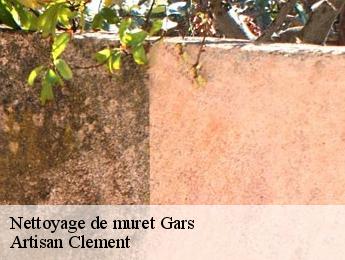 Nettoyage de muret gars-06850 Artisan Clement