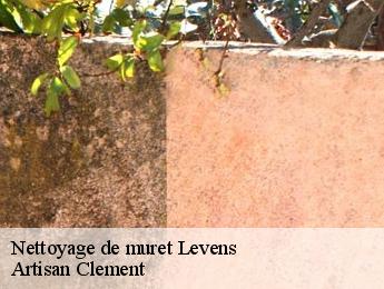 Nettoyage de muret levens-06670 Artisan Clement
