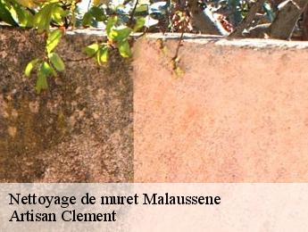 Nettoyage de muret malaussene-06710 Artisan Clement