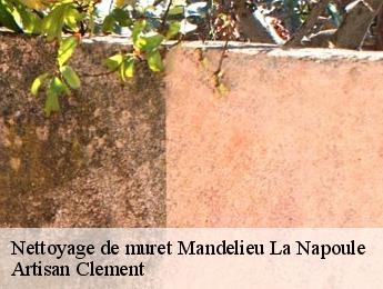 Nettoyage de muret mandelieu-la-napoule-06210 Artisan Clement