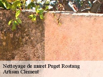 Nettoyage de muret  puget-rostang-06260 Dumas etancheite